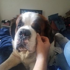 Meet your Posher, Nikki